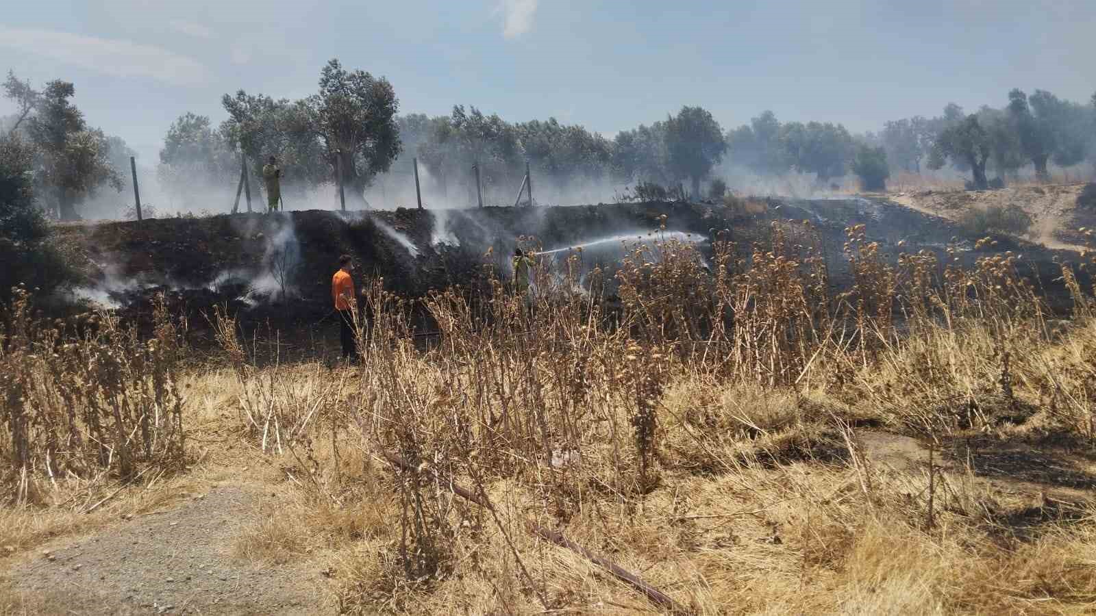 Burhaniye&rsquo;de &ouml;rt&uuml; yangını zeytinliklere sı&ccedil;ramadan kontrol altına alındı