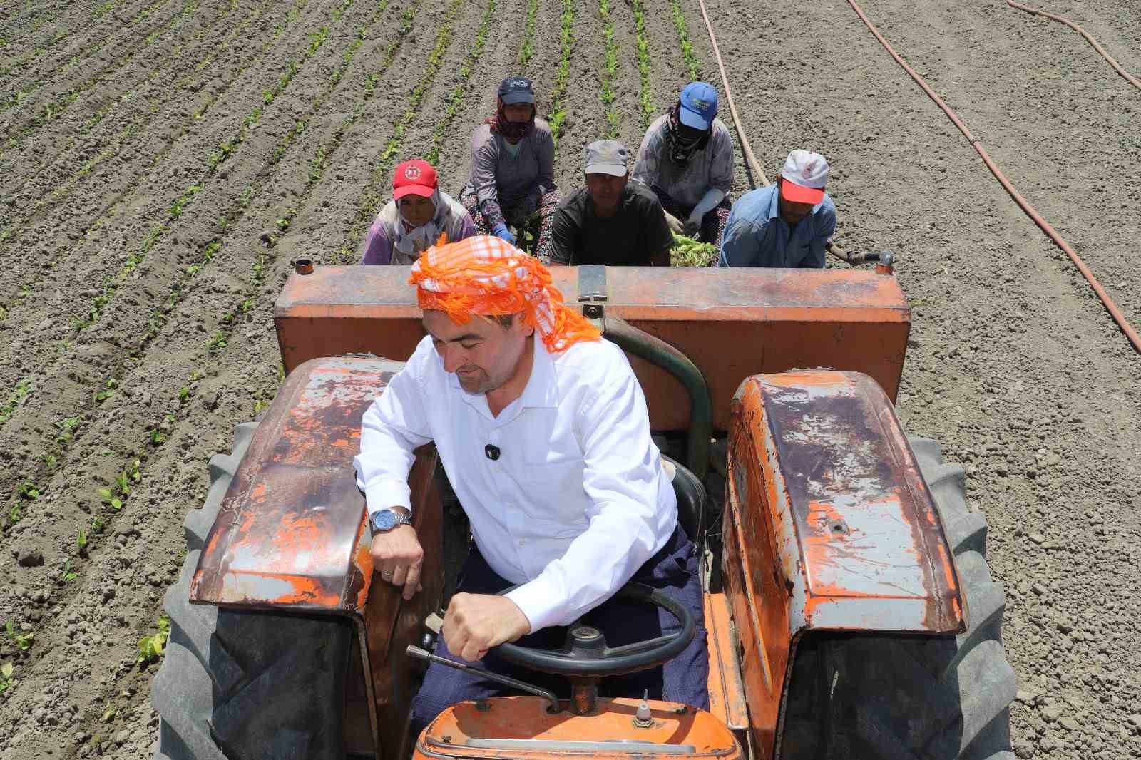 Saruhanlı&rsquo;da t&uuml;t&uuml;n mesaisi başladı