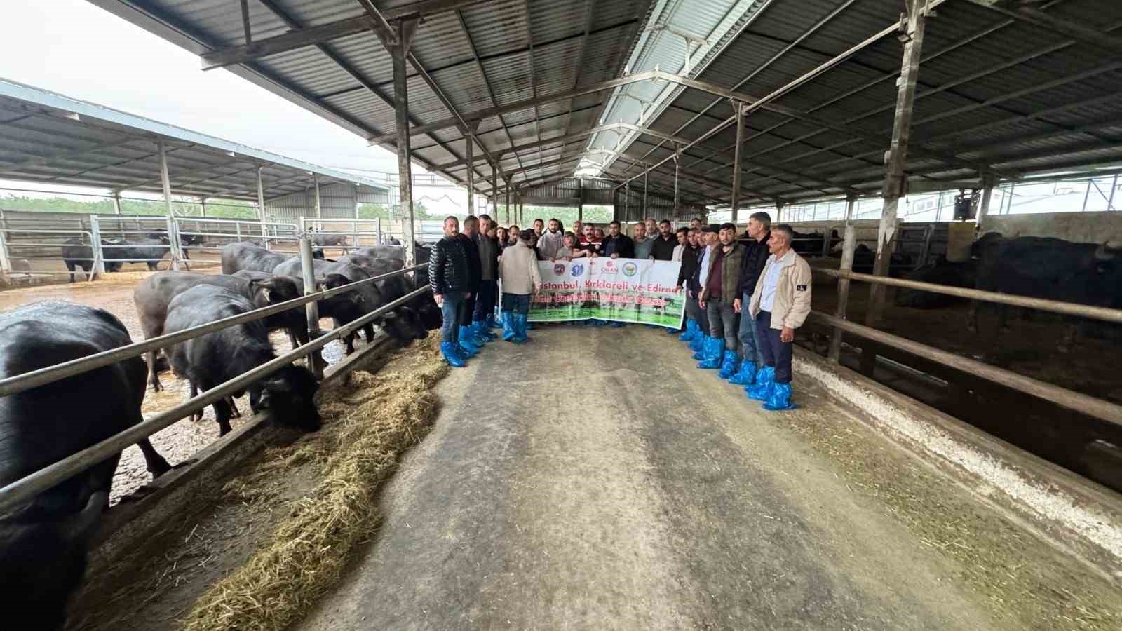 Kayseri&rsquo;de manda yetiştiriciliğine b&uuml;t&uuml;nc&uuml;l destek