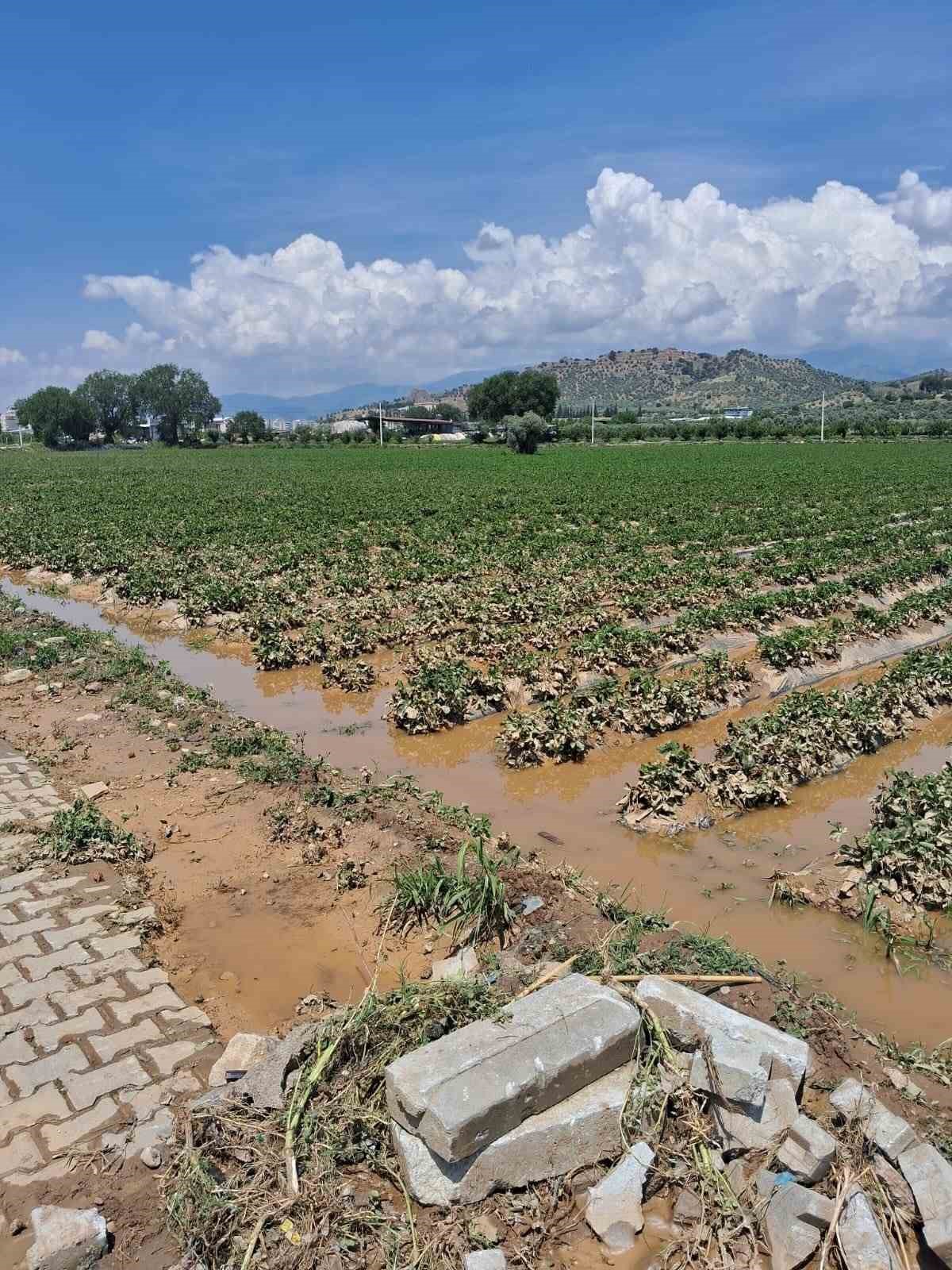 K&ouml;şk&rsquo;te sel sonrası arazilerde hasar tespiti başlatıldı