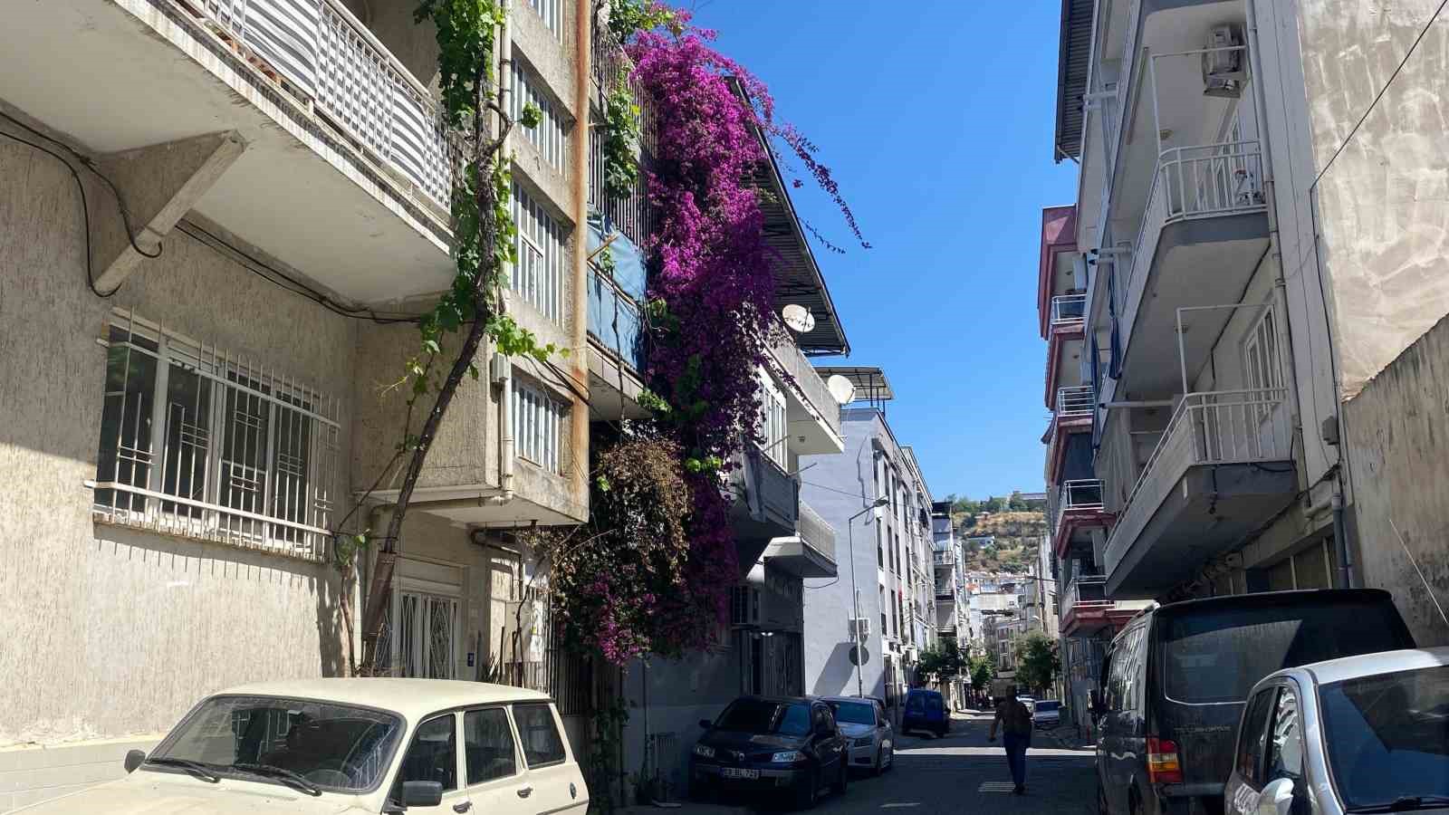 Aydın’ın cadde ve sokakları çiçek açtı