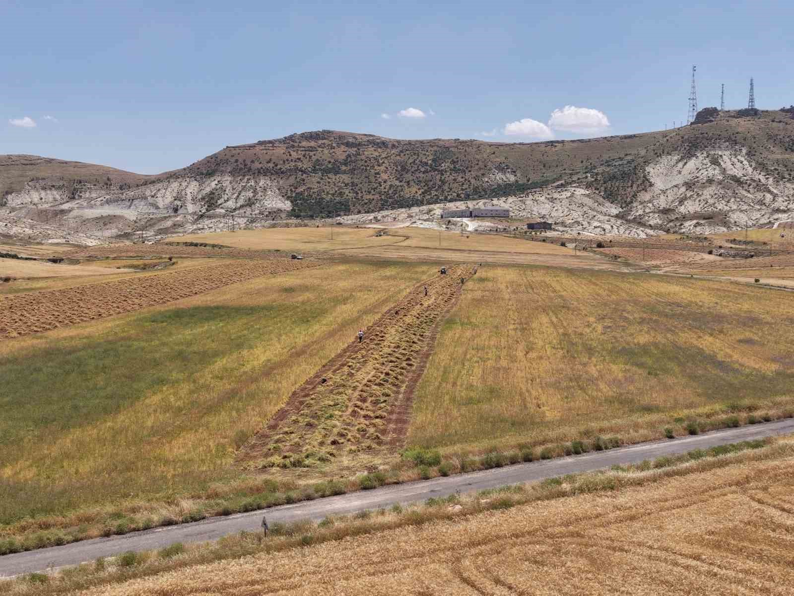 Mardin&rsquo;de &ccedil;ift&ccedil;ilerin yoğun mesaisi başladı