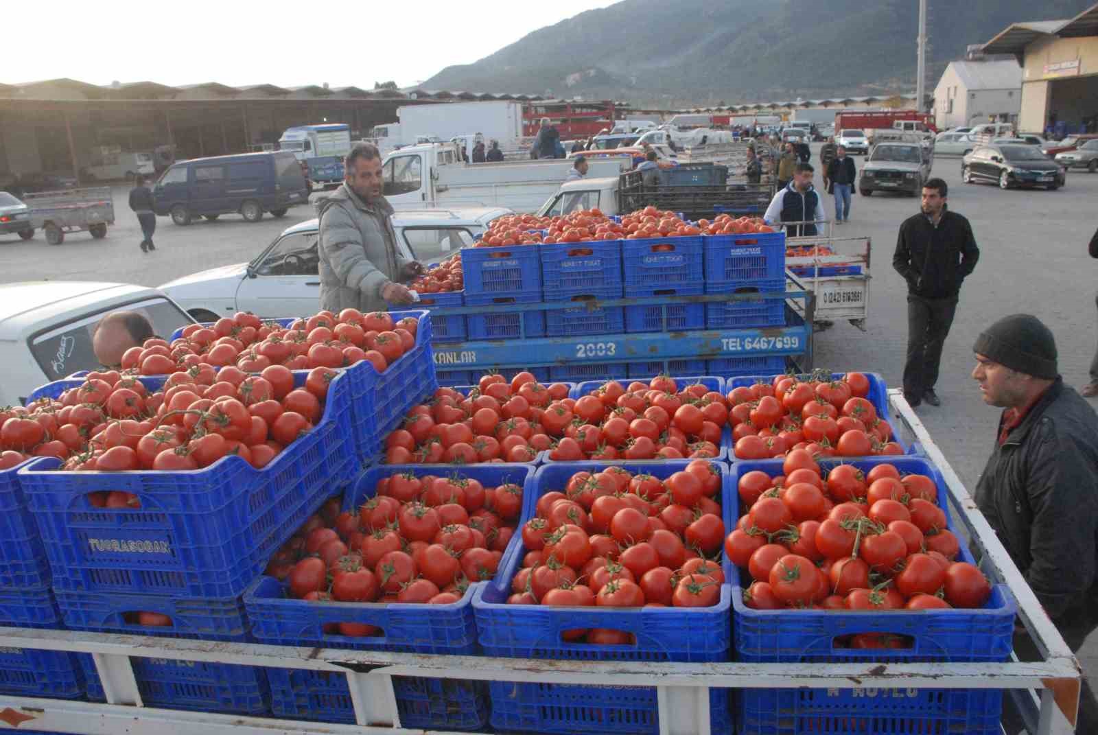 Ocak-Mayıs d&ouml;neminde Muğla ihracatı y&uuml;zde 6,5 arttı