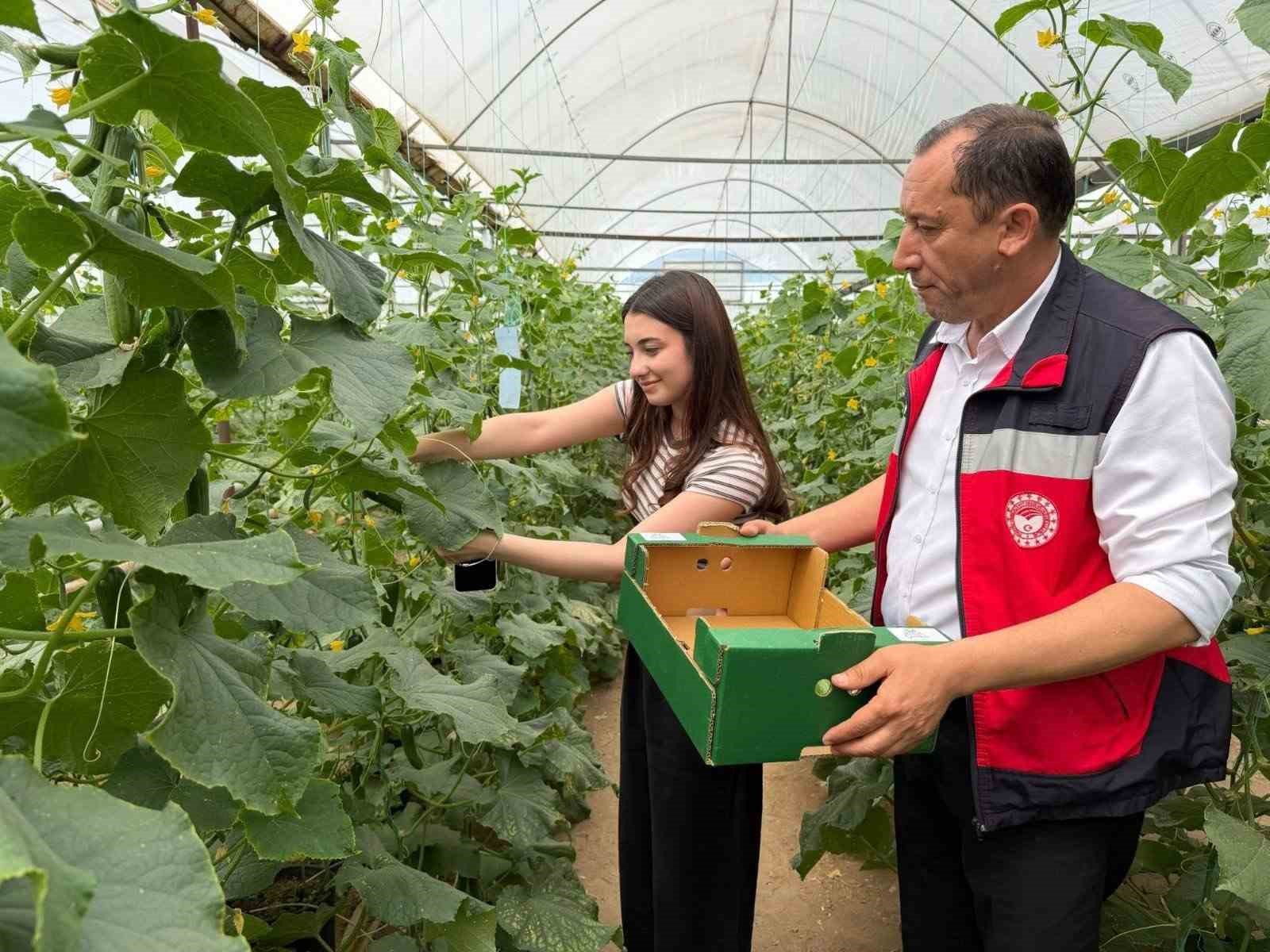 Simav&rsquo;da gen&ccedil;ler serada hasatla buluştu
