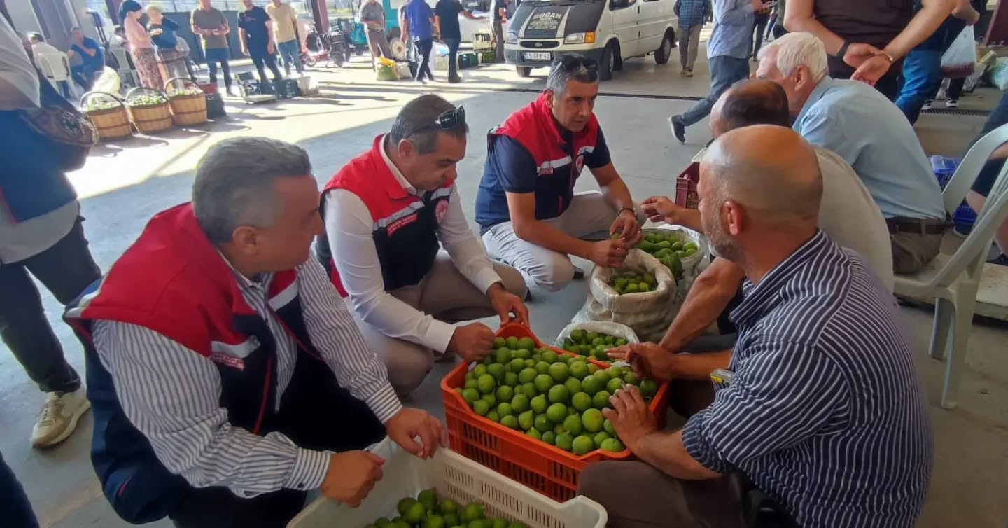 Aydın inciri i&ccedil;in denetimler s&uuml;r&uuml;yor