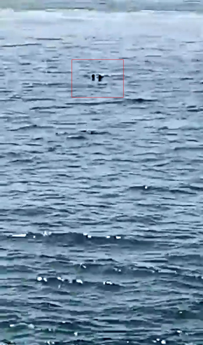 Feribottan denize d&uuml;şen kişiye b&uuml;fe &ccedil;alışanından hayat kurtaran m&uuml;dahale