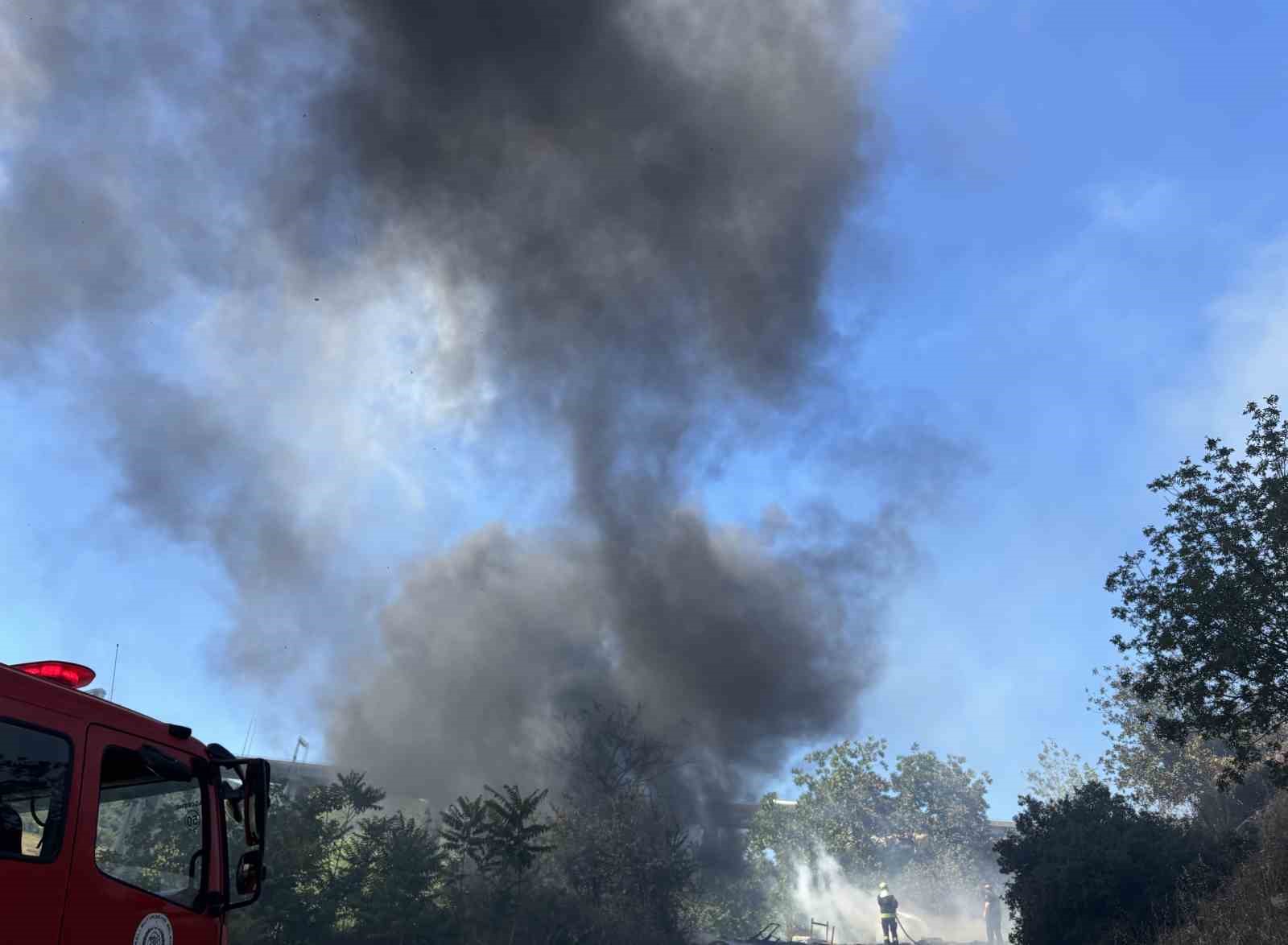 İzmit&rsquo;te ağa&ccedil;lık alanda yangın