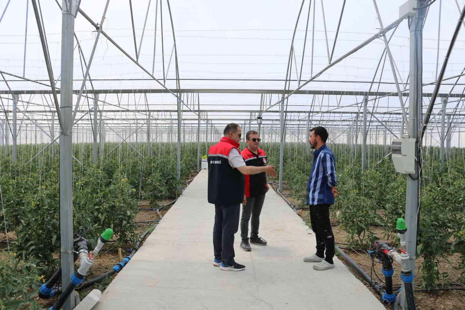 Erzincan&rsquo;da seracılık faaliyetleri yerinde incelendi