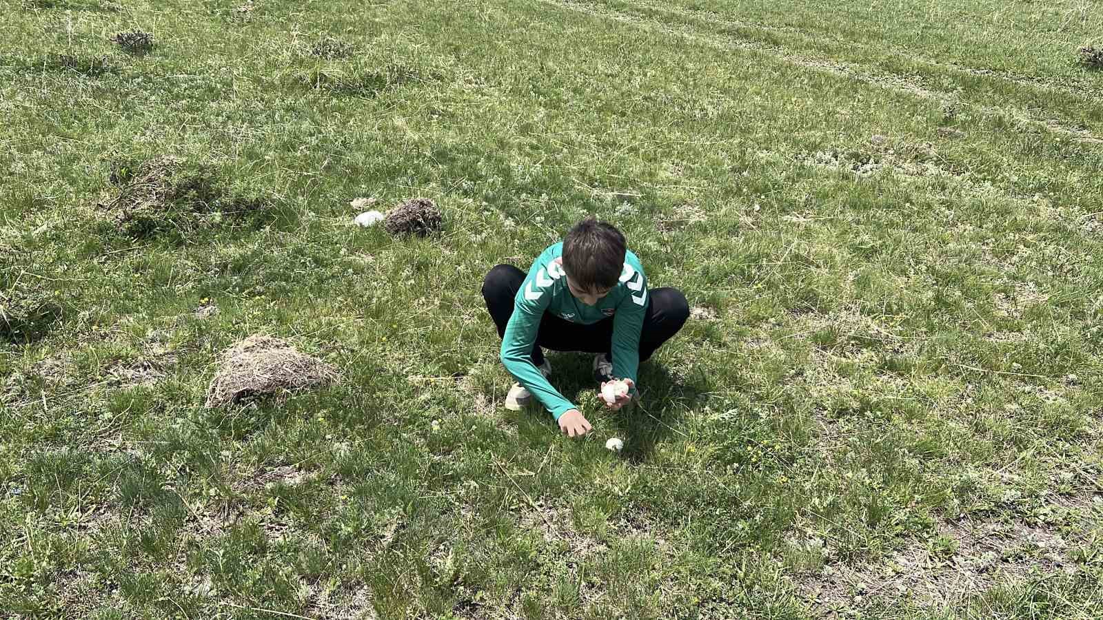 Kars&rsquo;ta mantar bereketi: &Ccedil;ocuklar doğada hem eğlendi hem topladı