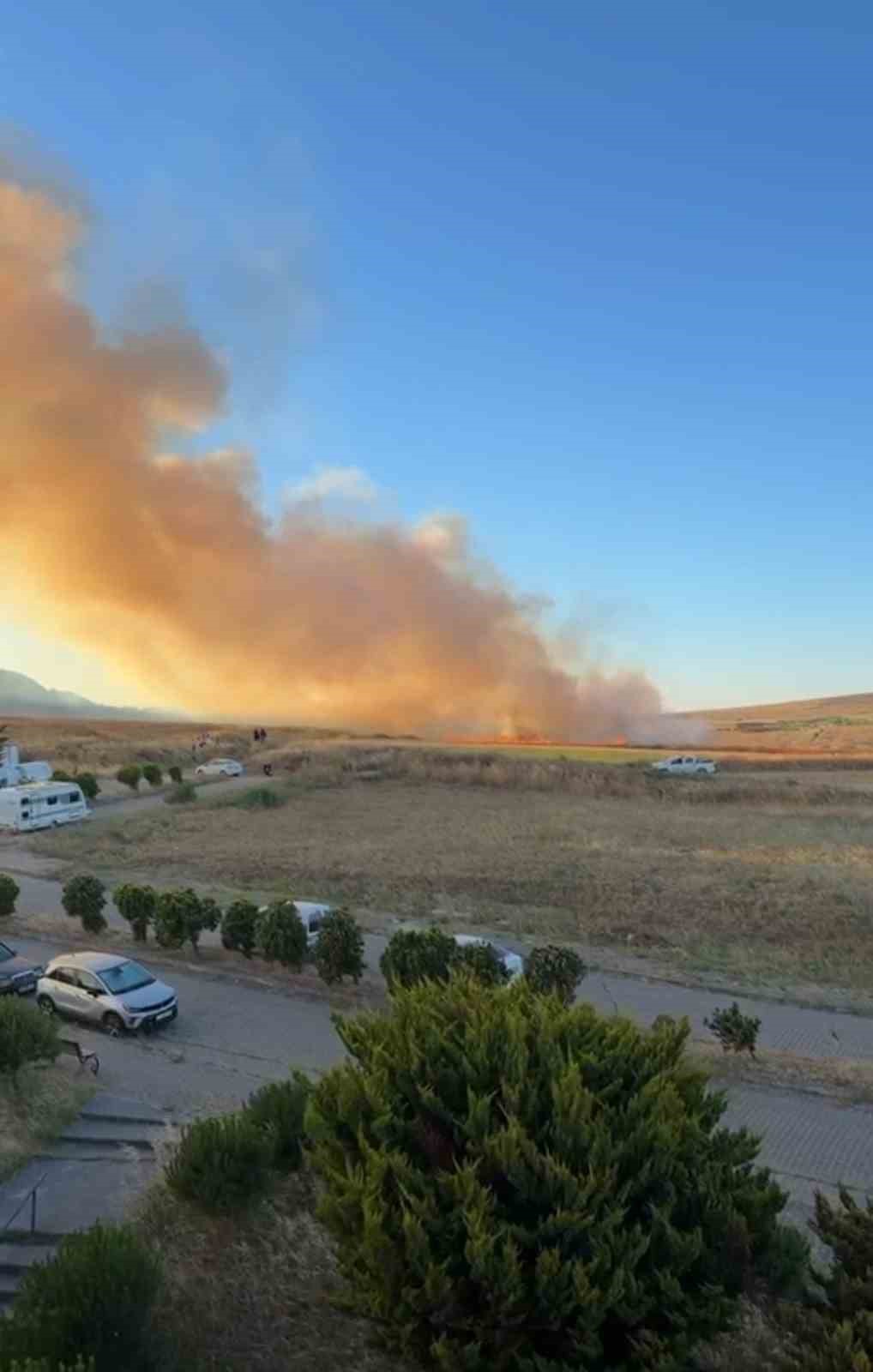Bandırma&rsquo;da buğday tarlası yangını korkuttu