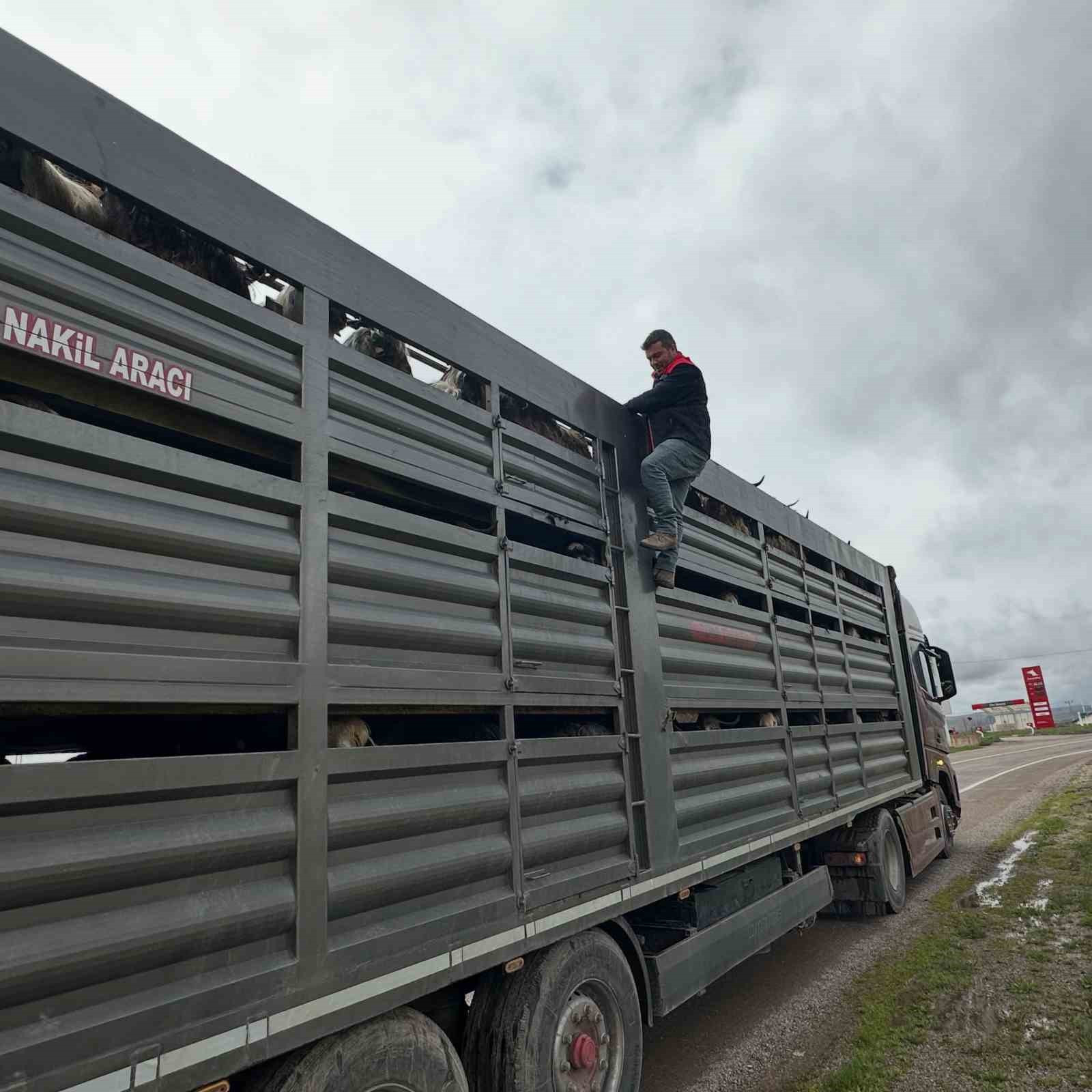 Kurban Bayramı &ouml;ncesi Aydıntepe&rsquo;de yol kontrolleri devam ediyor