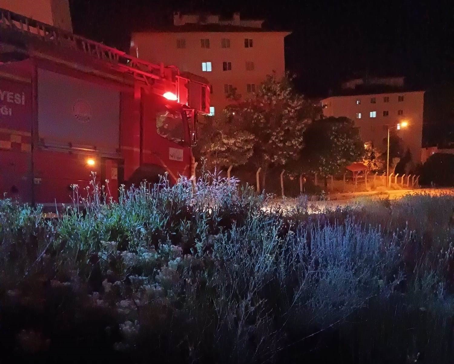 Van&rsquo;da anız yangını