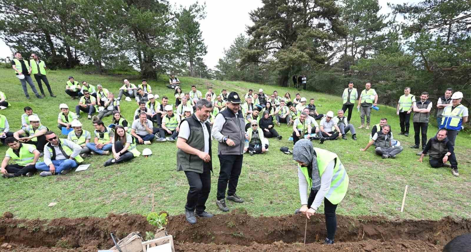 Vezirk&ouml;pr&uuml;&rsquo;de orman personeline uygulamalı silvik&uuml;lt&uuml;r eğitimi