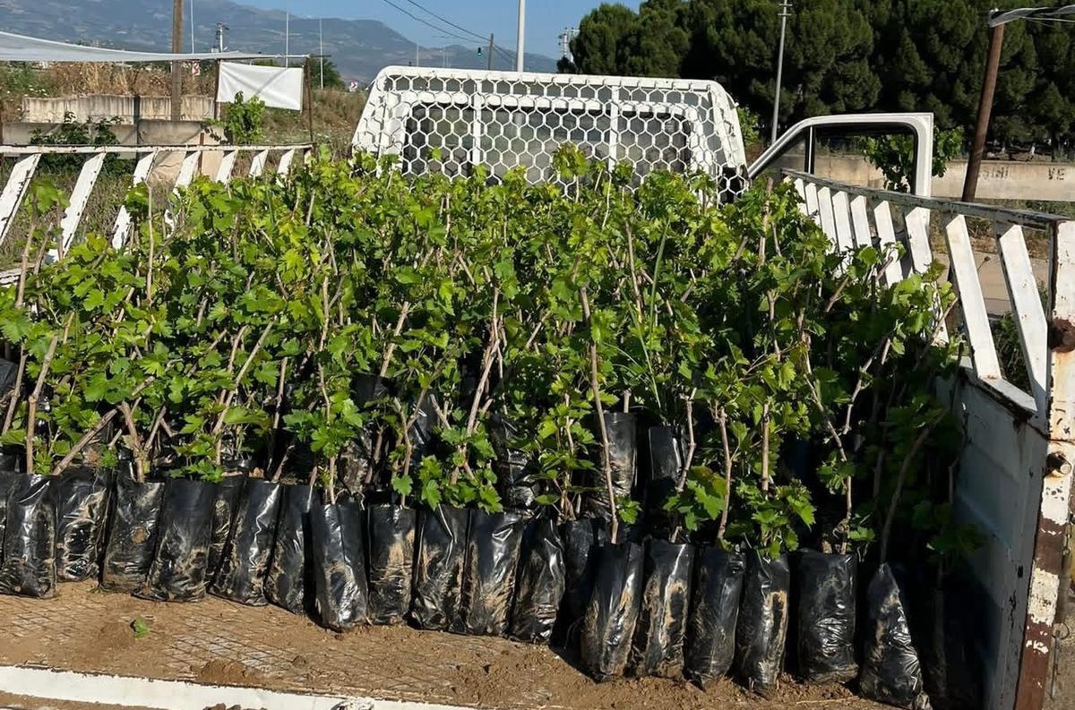 İki kardeşten &uuml;z&uuml;m &uuml;retimine milyonluk katkı