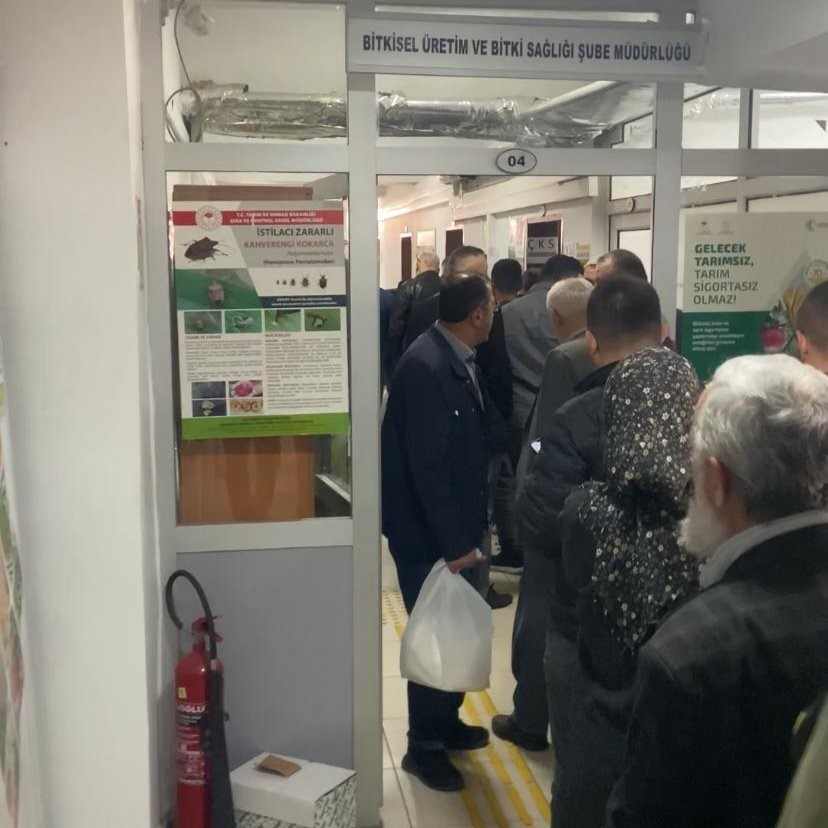 Düzce’de 72 bin metruk bina ilaçlandı