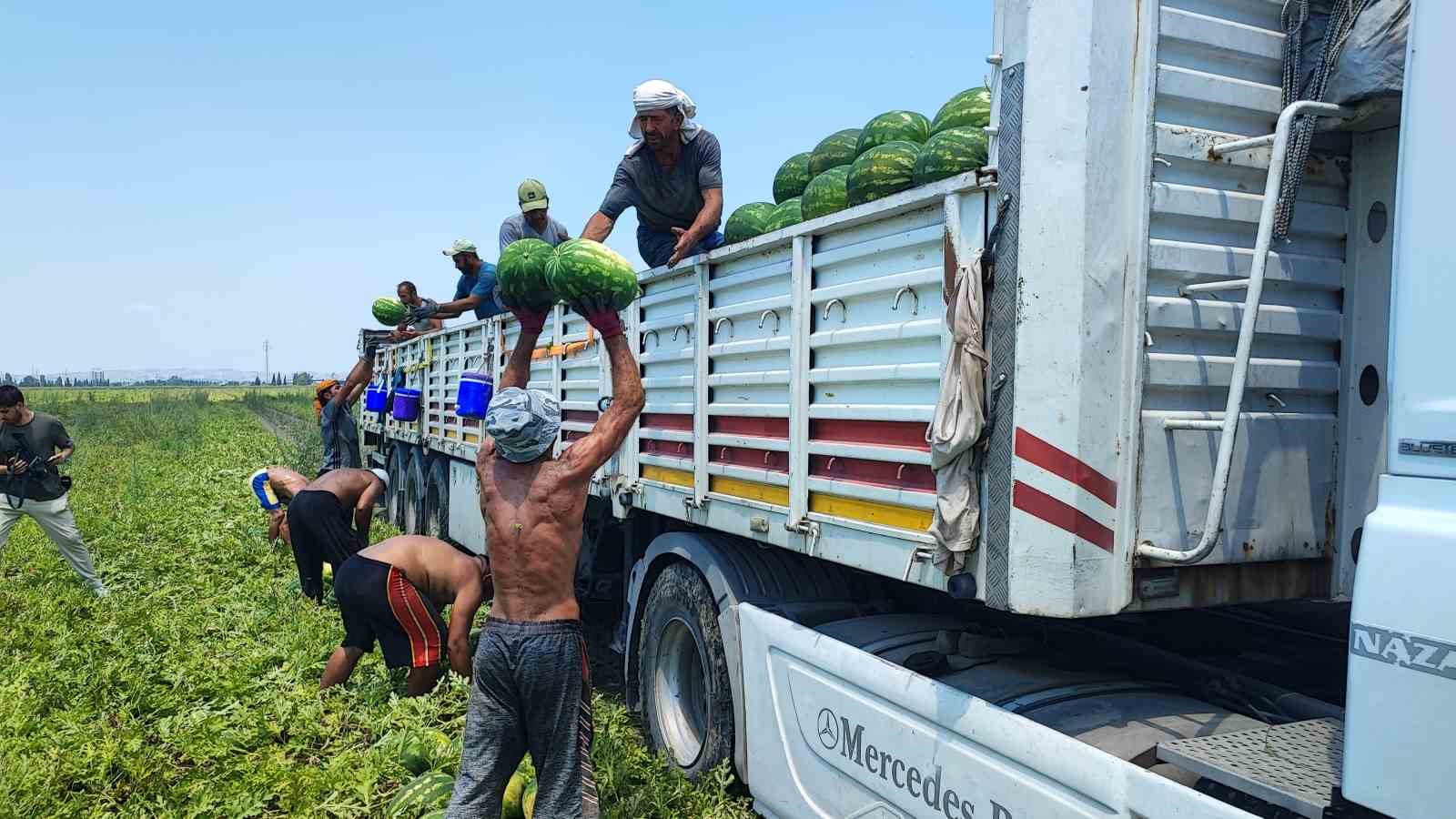 40 derece sıcakta karpuz iş&ccedil;ilerinin ekmek m&uuml;cadelesi