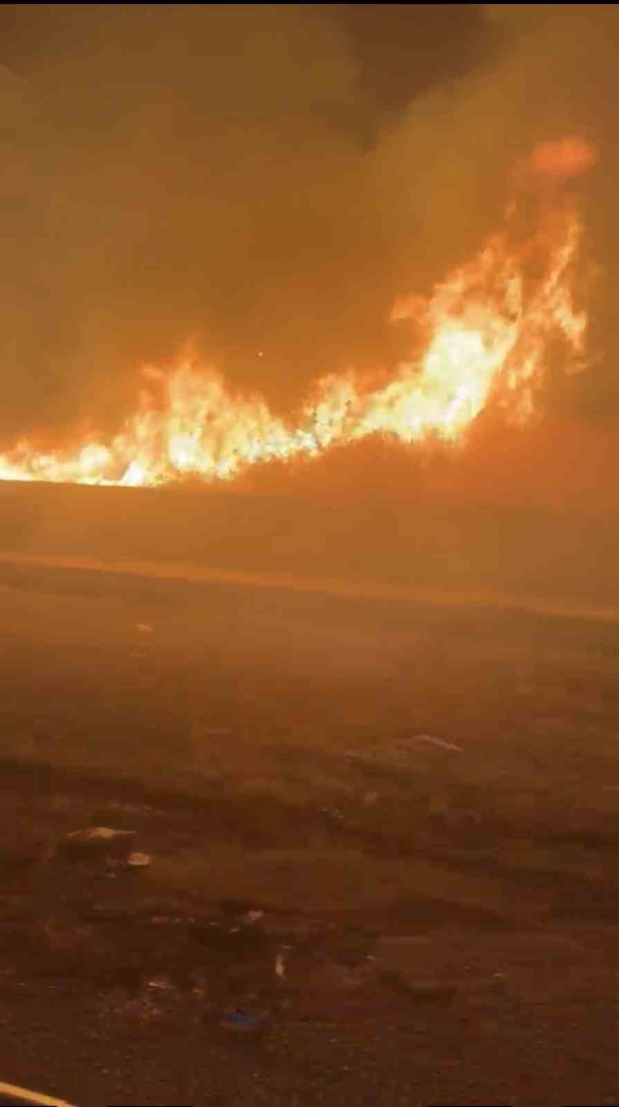 Mardin&rsquo;de &uuml;&ccedil; ayrı noktada &ccedil;ıkan yangınlar s&ouml;nd&uuml;r&uuml;ld&uuml;