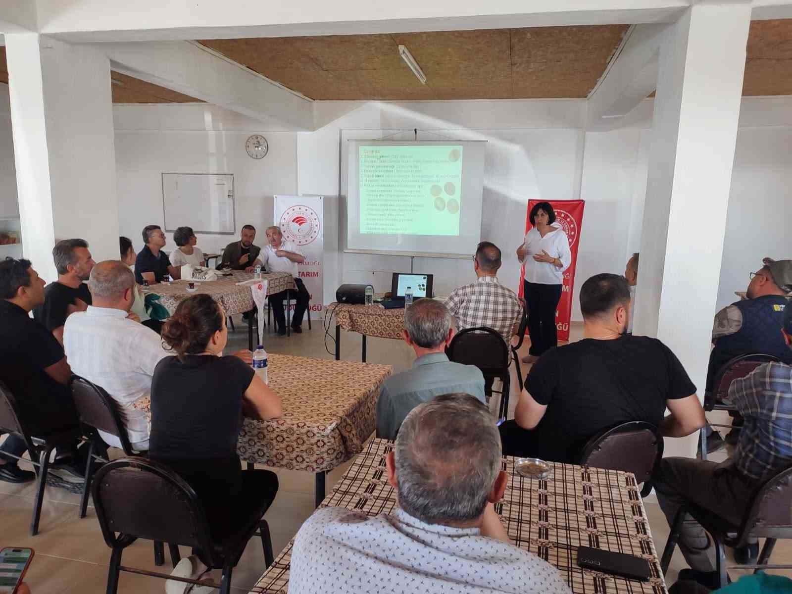 Simav&rsquo;daki seracılara domates hastalıkları ve zararlıları eğitimi