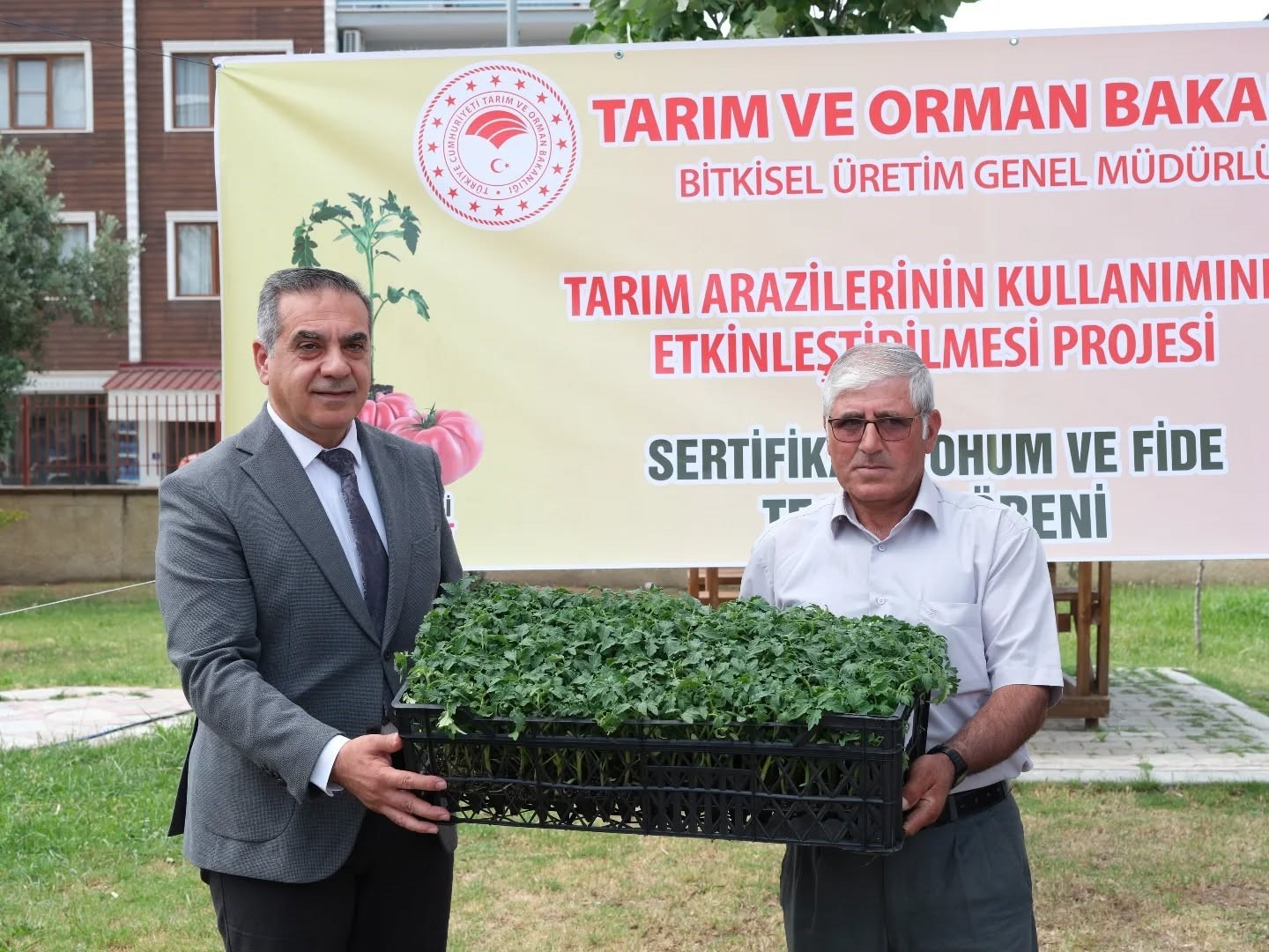 Buharkent&rsquo;te 38 bin domates fidesi dağıtıldı