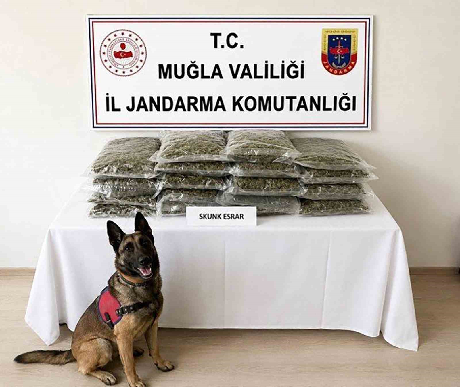 Jandarmadan uyuşturucuya ge&ccedil;it yok