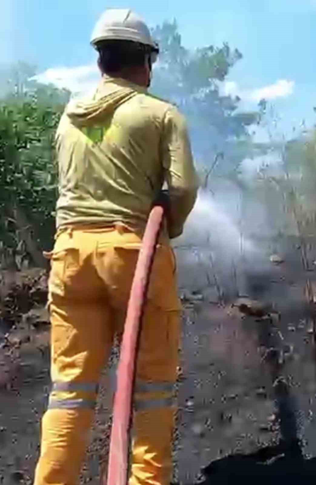 Antalya&rsquo;da 5 farklı noktada &ccedil;ıkan yangınlar kontrol altına alındı
