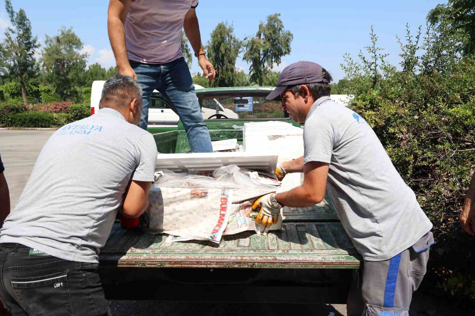 Antalya Otogarı&rsquo;nda balık operasyonu: 260 kilo ele ge&ccedil;irildi
