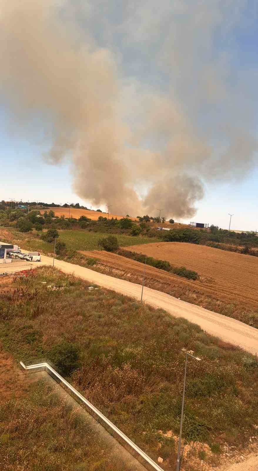 Edirne&rsquo;de buğday tarlasında &ccedil;ıkan yangın s&ouml;nd&uuml;r&uuml;ld&uuml;