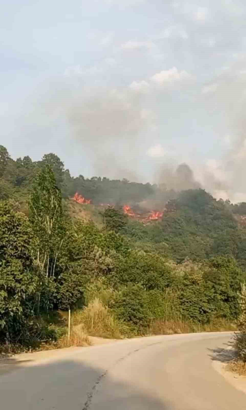 Bursa&rsquo;da makilik alanda yangın