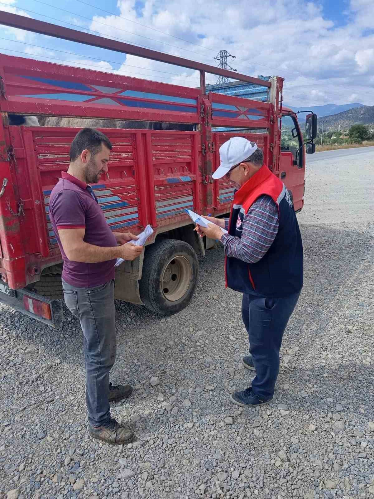 K&ouml;şk&rsquo;te Kurban Bayramı boyunca veteriner denetimleri s&uuml;recek