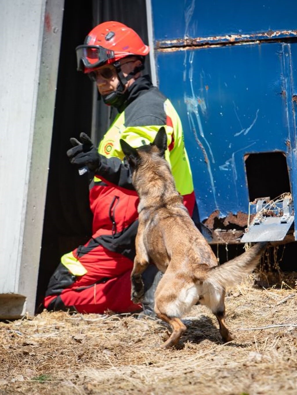 Muğla NAK Arama Kurtarma K&ouml;pekleri Macaristan&rsquo;da sahaya indi