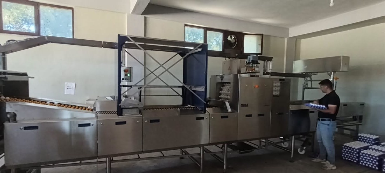 Tavşanlı&rsquo;da yumurta paketlemede yeni d&ouml;nem