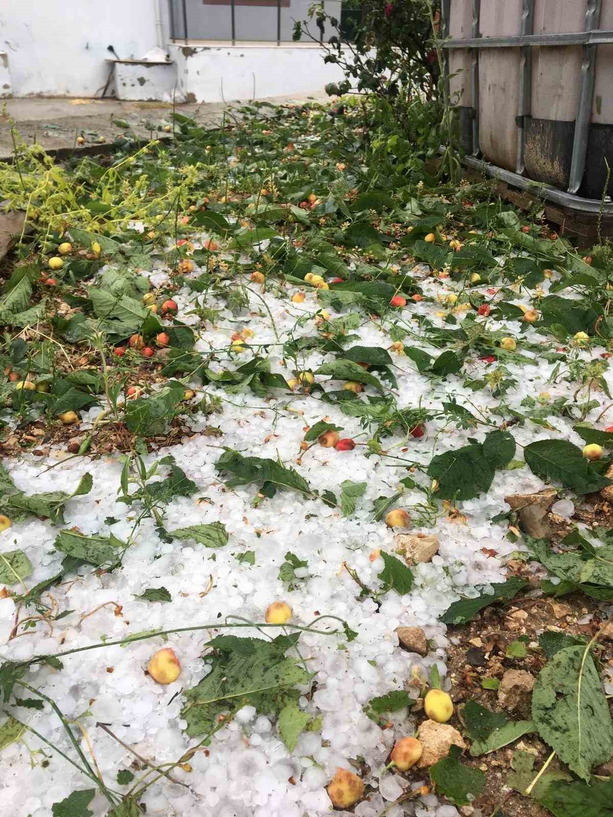 &Ccedil;ameli&rsquo;de dolu yağışında seralar ve tarlalar saniyeler i&ccedil;inde beyaza b&uuml;r&uuml;nd&uuml;