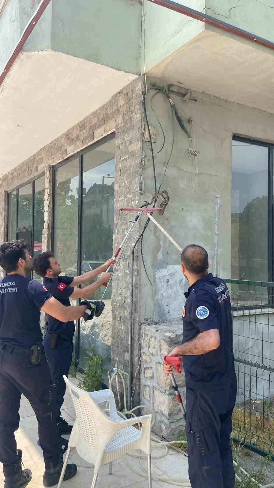 Bursa&rsquo;da iş yerine giren yılan paniğe neden oldu