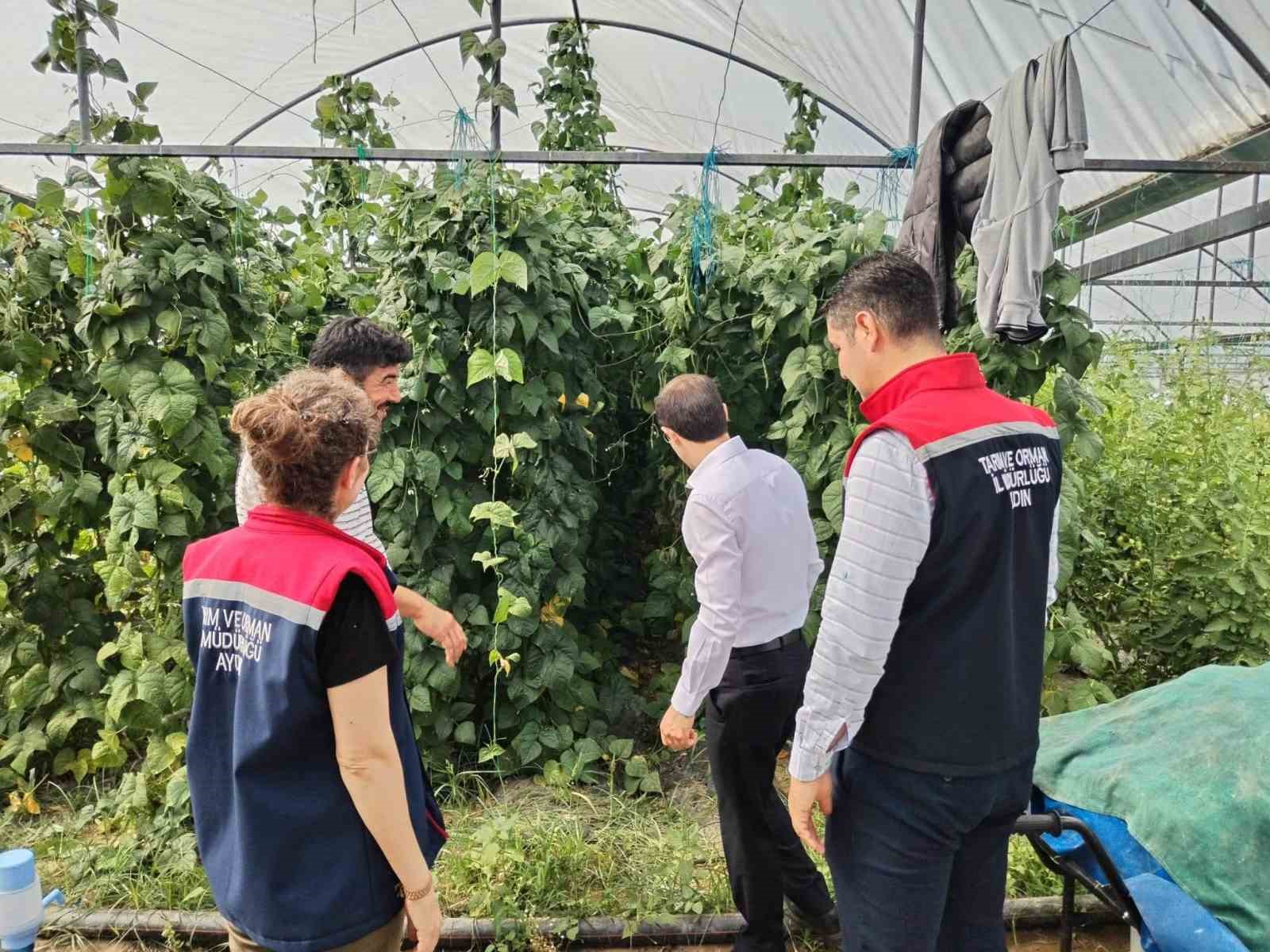 Bozdoğan&rsquo;da tarımsal &uuml;retim sahada değerlendirildi