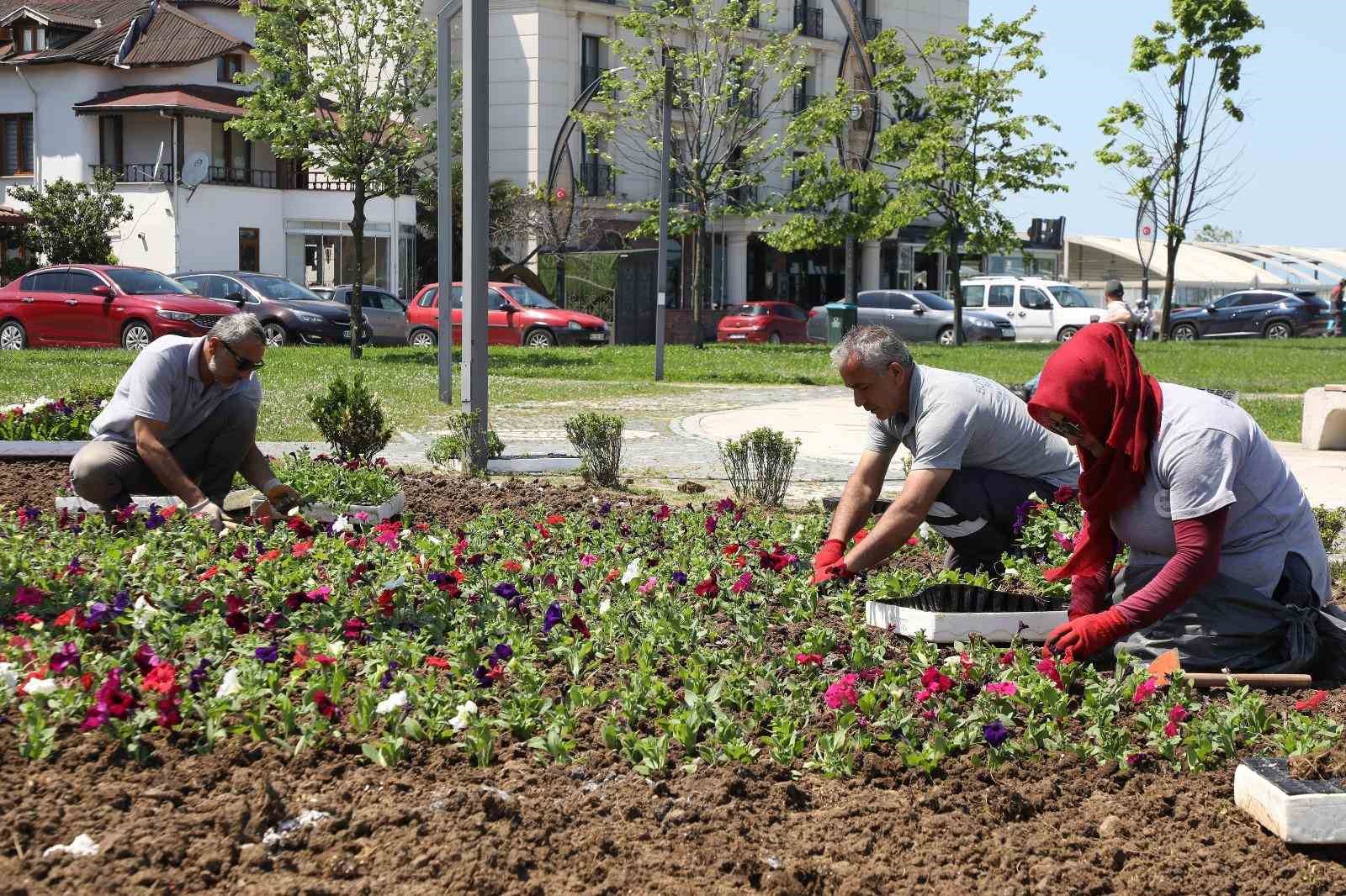 B&uuml;y&uuml;kşehir&rsquo;in &uuml;rettiği &ccedil;i&ccedil;ekler Ordu&rsquo;yu renklendiriyor