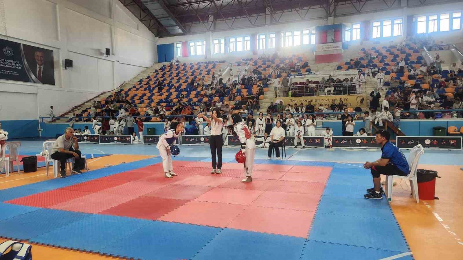 K&ouml;yceğizli Taekwondoculardan il se&ccedil;melerinde b&uuml;y&uuml;k başarı