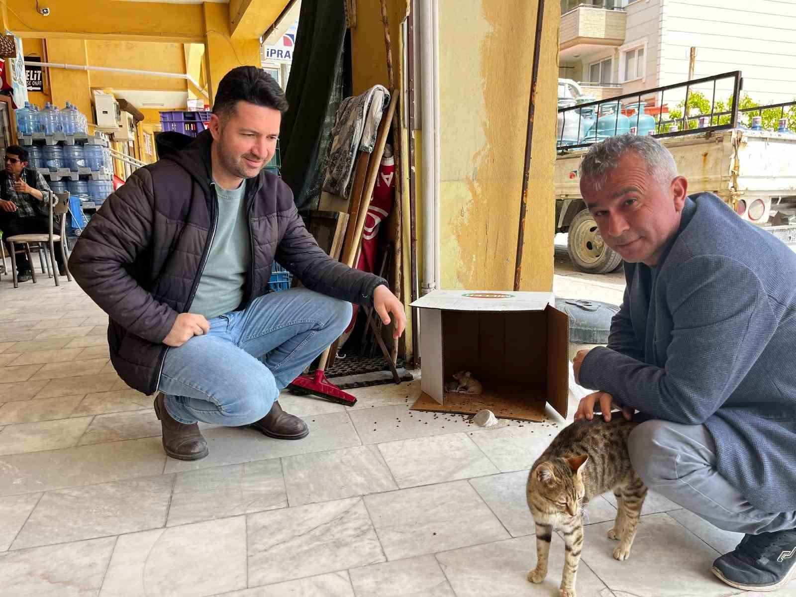 İşyerinde doğan kedi yavrularına esnaf sahip &ccedil;ıktı