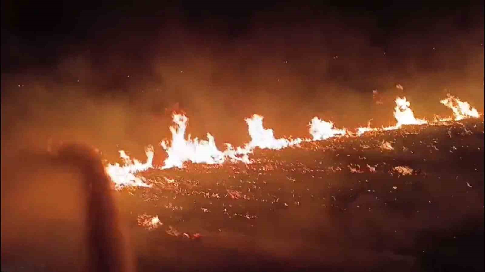 Şırnak&rsquo;ta &ccedil;ıkan yangında 300 d&ouml;n&uuml;ml&uuml;k alan k&uuml;le d&ouml;nd&uuml;