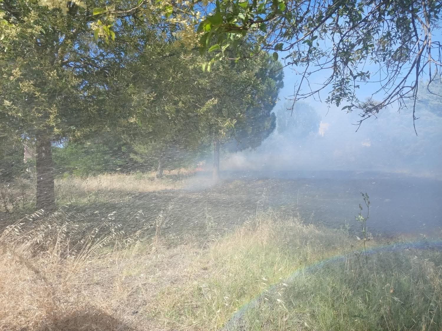 Reyhanlı&rsquo;da zeytinlik yangını