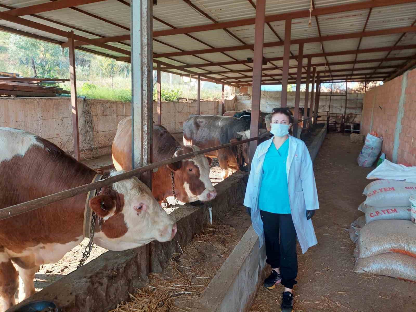 Yetkili ve s&ouml;zleşmeli veteriner hekim uygulaması Aydın&rsquo;da başarıyla uygulandı