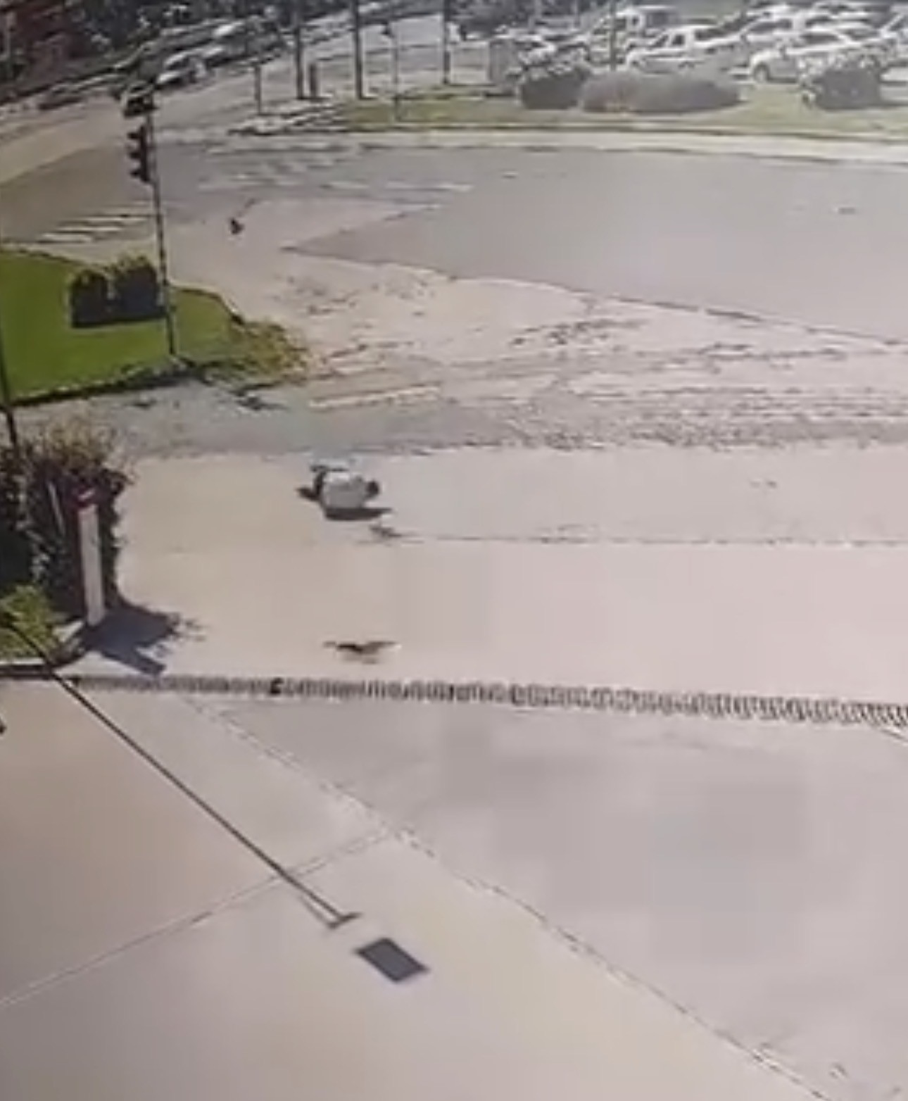Kargadan ka&ccedil;arken taklalar attı, o anlar kamerada