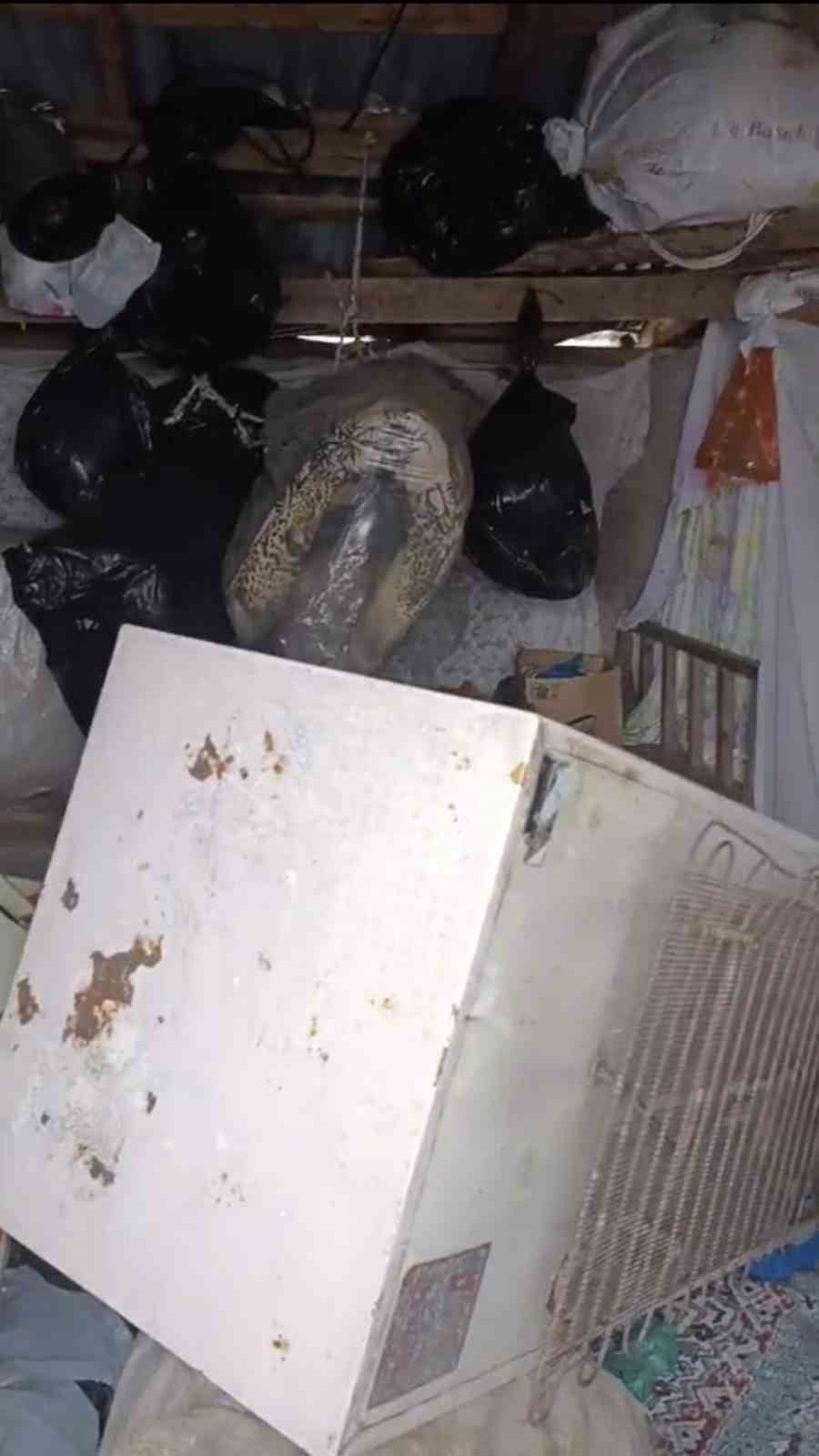 Bir g&uuml;nde 20 eve giren ayı yayla sakinlerini canından bezdirdi
