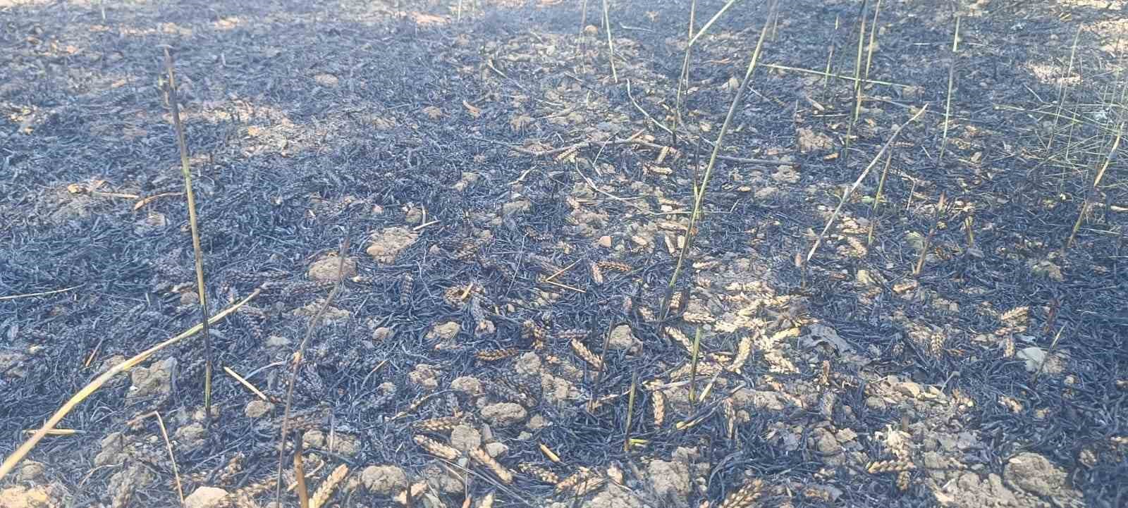 &Ccedil;an&rsquo;da tarla yangınında 2 ekili alan k&uuml;l oldu