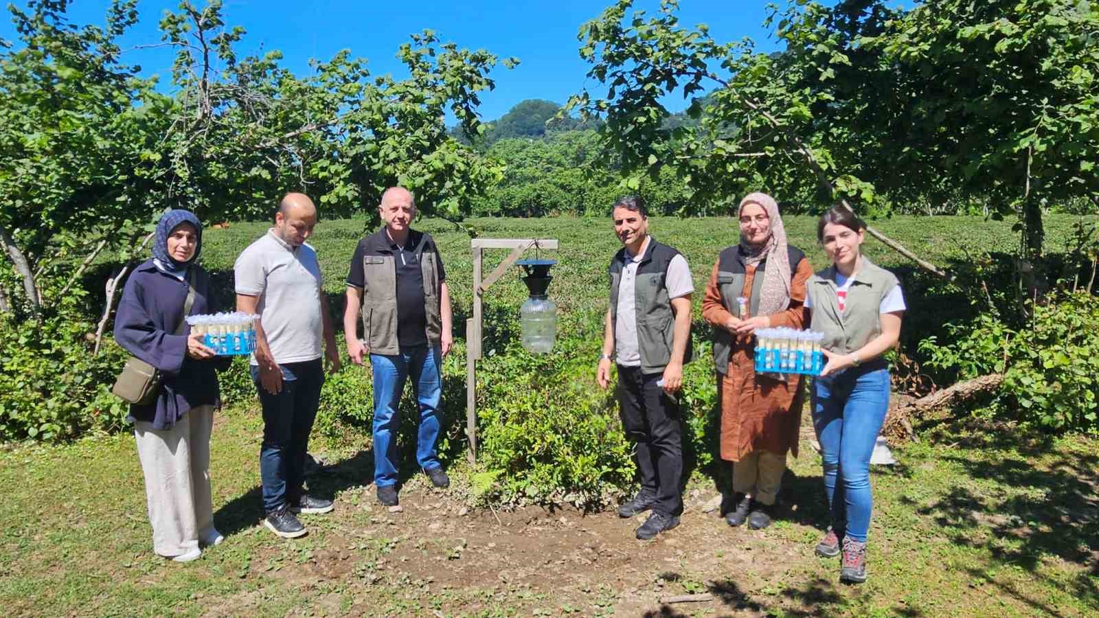 Kahverengi kokarca ile m&uuml;cadelede 11 bin samuray arıcığı salındı