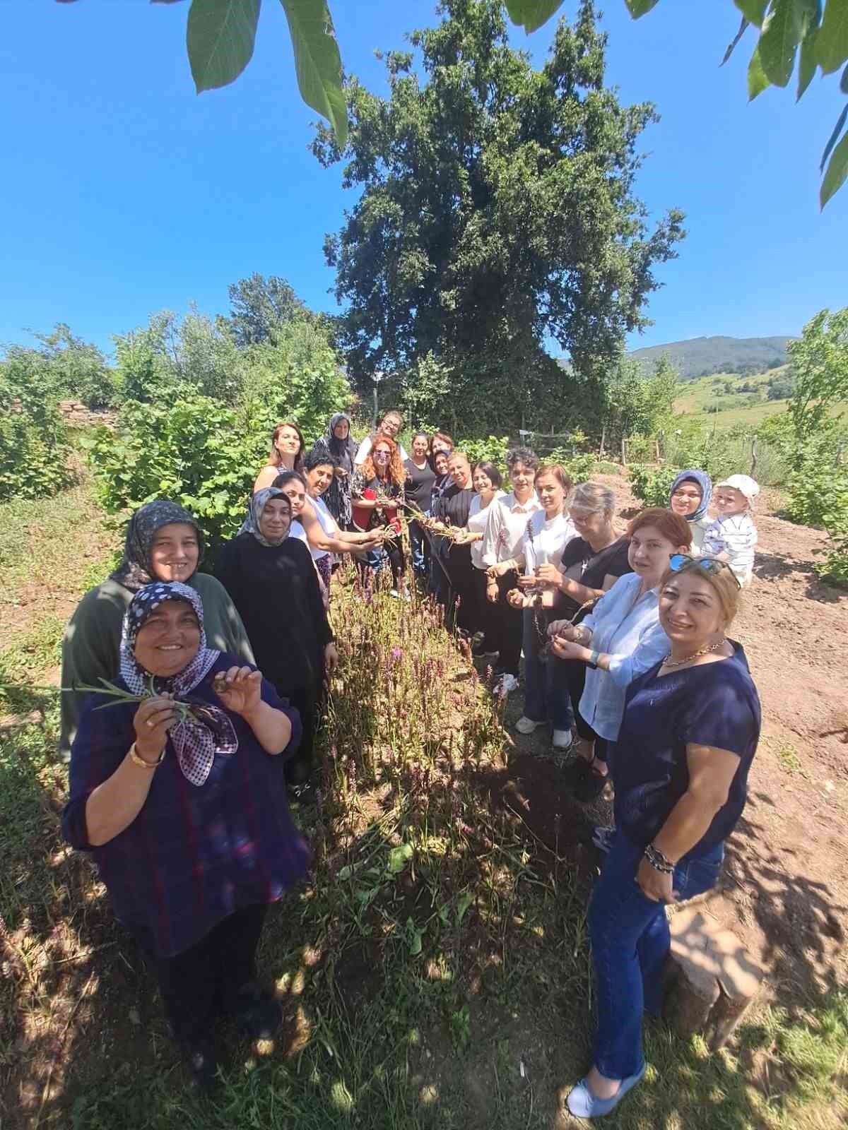Kadın &uuml;reticilere 7 bin salep fidesi desteği