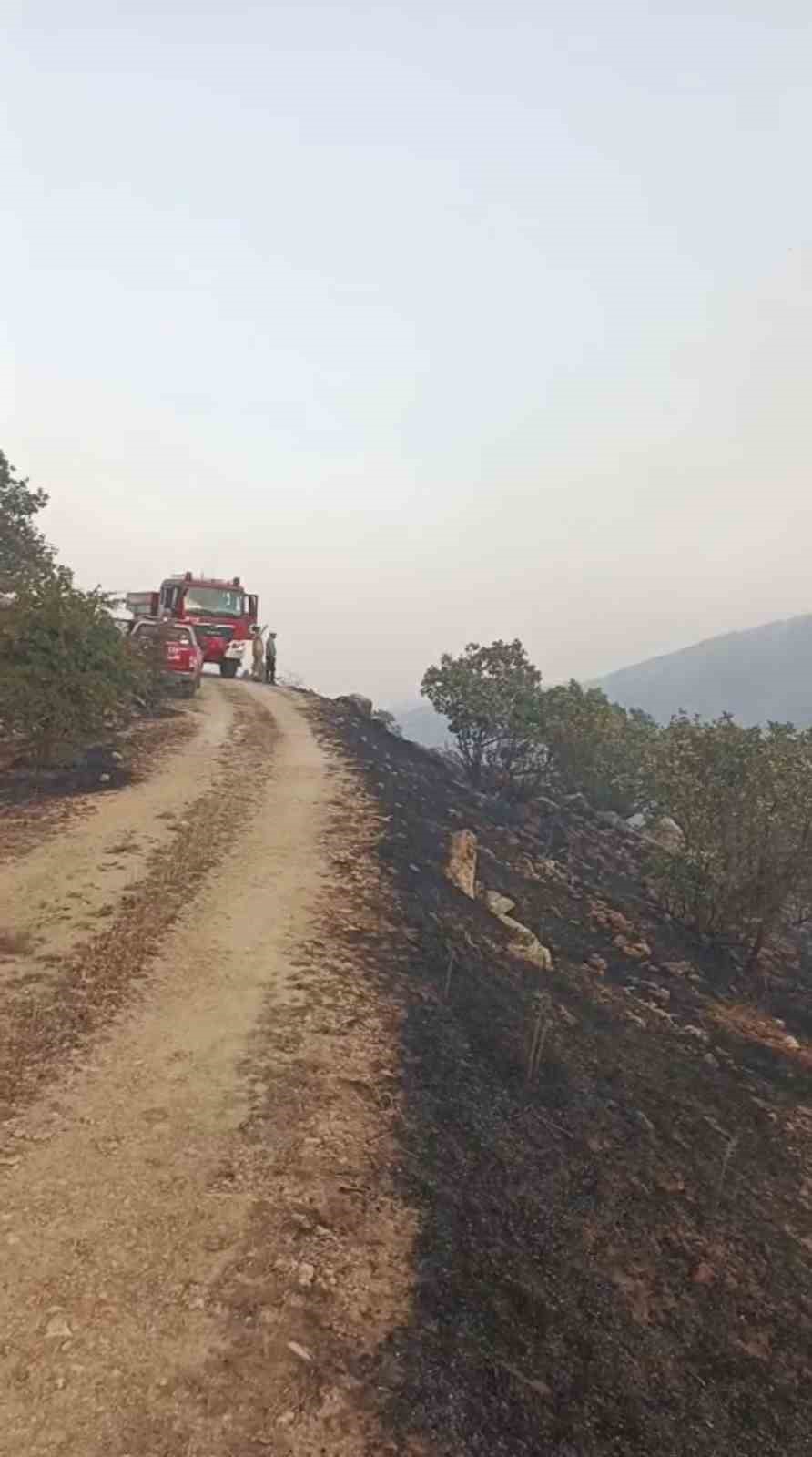 Mardin&rsquo;deki &ouml;rt&uuml; yangınları kontrol altına alındı