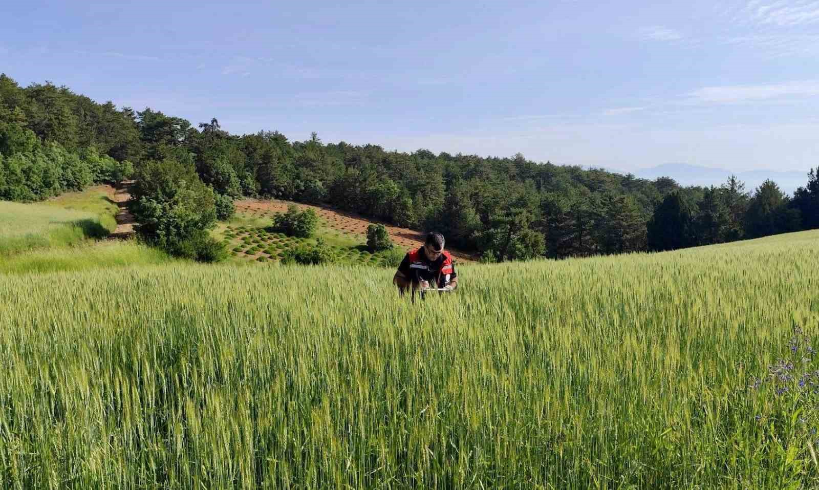 Tarımsal &uuml;retimin planlı şekilde y&uuml;r&uuml;t&uuml;lmesi i&ccedil;in &ccedil;alışmalar s&uuml;r&uuml;yor
