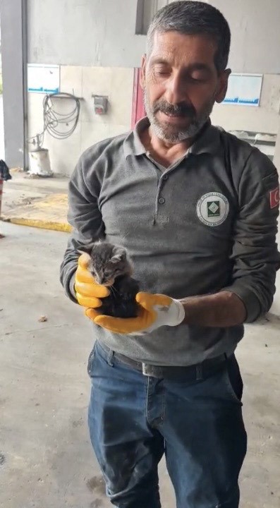Osmaniye’de otomobilin motoruna sıkışan yavru kedi kurtarıldı