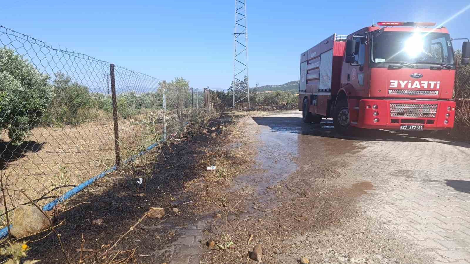 Gaziantep&rsquo;te zeytinlik alanda yangın