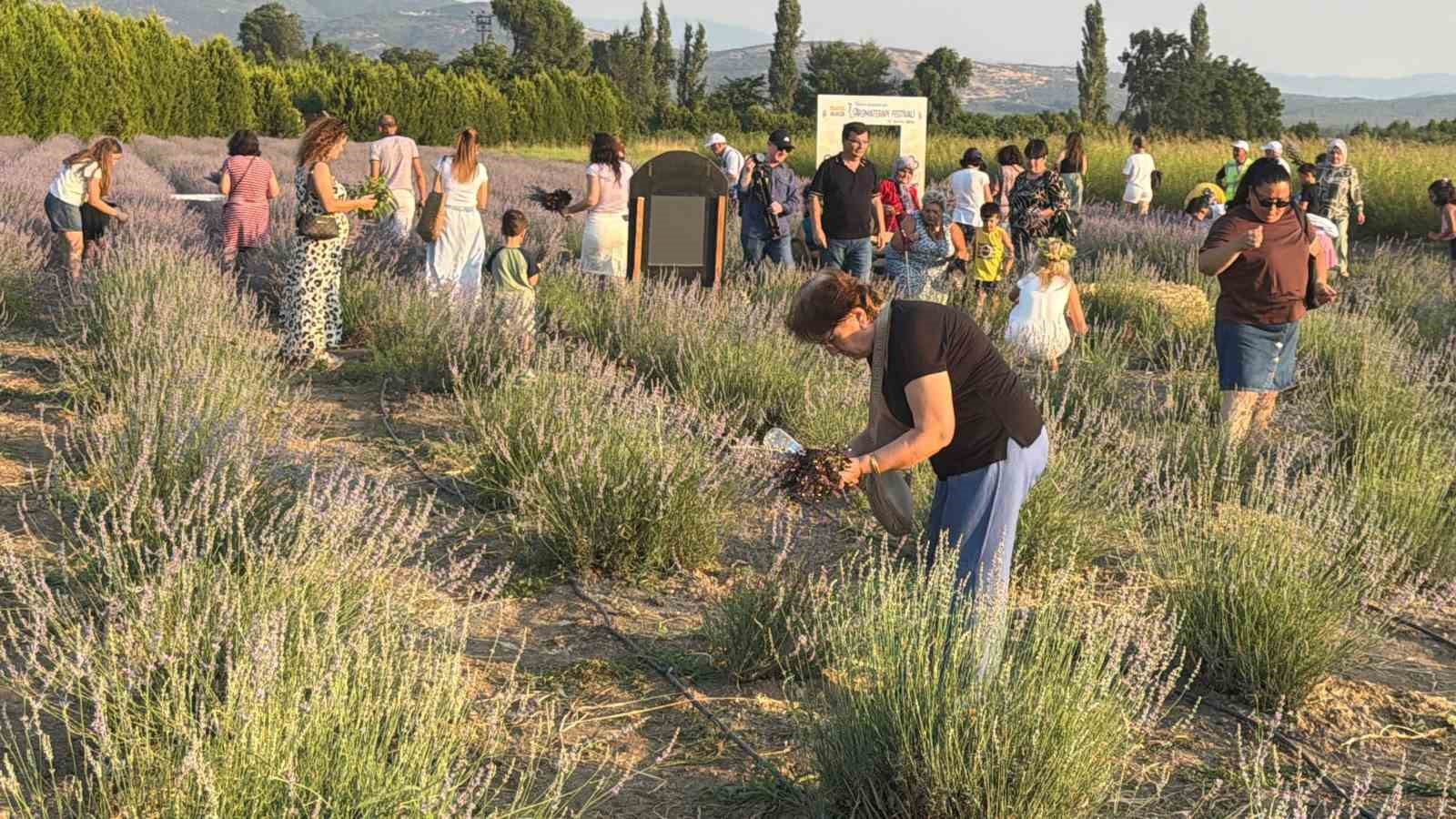Balıkesir&rsquo;de 7.Uluslararası Aromaterapi Festivali başladı